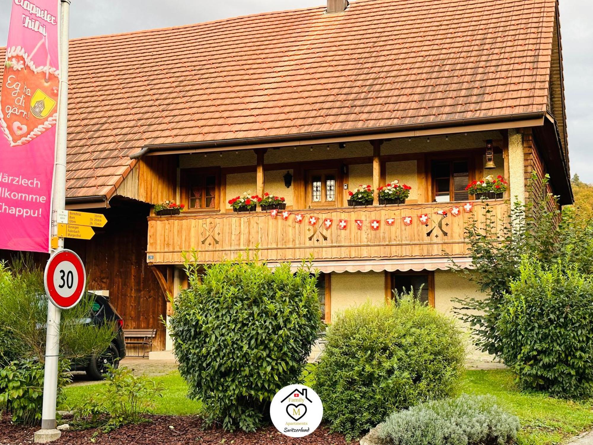 Family M Apartments 15 Kappel bei Olten 外观 照片